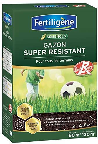 FERTILIGÈNE Gazon Super Résistant Label Rouge – Haute Résistance Piétinement & Sécheresse – Pousse Rapide en 7 Jours – Sac 1kg (40m²)