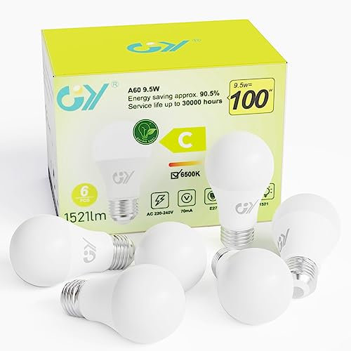 GY Ampoule LED E27 9.5W (équivalent 100W), 6500K Blanc Froid 1521 lumens, A60 Ampoules E27 LED Efficacité Energétique, Dépolie, Non-Dimmable, 6 Unité (Lot de 1)