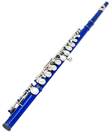BQYOA Flöte Western-Konzertflöte, Kupfernickel vernickelt, 16 Löcher, C-Taste, Holzblasinstrument mit Reinigungstuch, Stick, Handschuhen, Mini-Schraubendreher, gepolstertes Etui