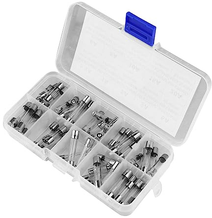 WHAMVOX 60 pièces Fusibles Verre à Fusion Rapide Kit Assorti Boîte Plastique de Rangement pour Protection