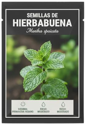Menta Verde Natural | Semillas de Hierbabuena para Huerto Casero DECOALIVE