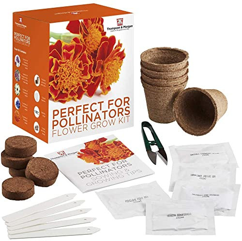 Perfect for Pollinators Seed Growing Kit Gift Box – 5 Bee Friendly Flourishing Flowers to Grow; Verbena Bonariensis Foxglove Calendula Cornflower & Marigold Seeds Flower Seed Kit by Thompson & Morgan