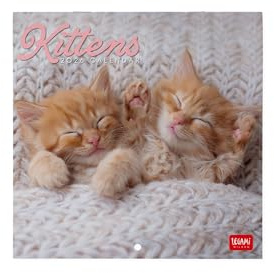 Legami - Wandkalender 2026, Kittens, kleiner Wandkalender, 12 Monate und Jahresplaner, in 6 Sprachen, Platz für Notizen, Sternzeichen, internationale Feiertage, 18 x 18 cm