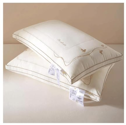 Qxmiguel Almohadas Juego de 2 Almohadas de Cama de Calidad de Hotel para Dormir para Dormir y Dormir con el estómago, núcleo de Almohada Bordada de Seda de Morera