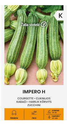 Zalia Stotele | Semillas de Calabacín - Impero H | Semillas de hortalizas | Semillas de calabacín | Semillas de jardín | Un híbrido medio precoz, muy productivo y resistente | 1 paquete