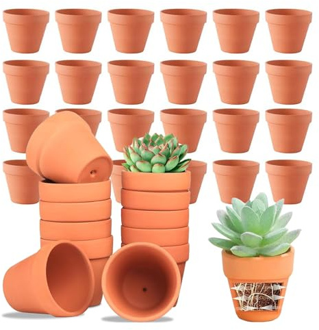 Colrid Pack 24 Macetas Mini Terracota 5x5,5 cm - Macetas Pequeñas de Barro con Agujero Drenaje para Plantas de Interior, Suculentas, Semillas - Naturales y Decorativas (24, 5 * 5.5 cm)