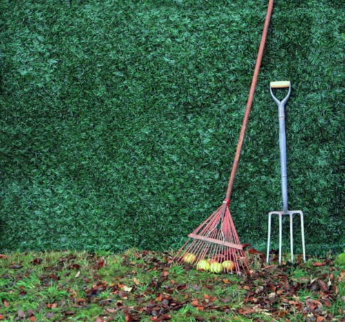 Papillon Artificial Conifer Plastic Hedge Garden Fence Screening Roll Privacy Border 3m x 1m (9ft 10in x 3ft 3in)