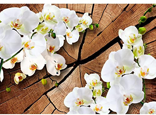 Runa Art Papel tapiz fotográfico 396 x 280 cm madera 3D Orquídea | Lana Decoración De Pared Sala Cuarto | Fabricación alemana | blanco 9057012b