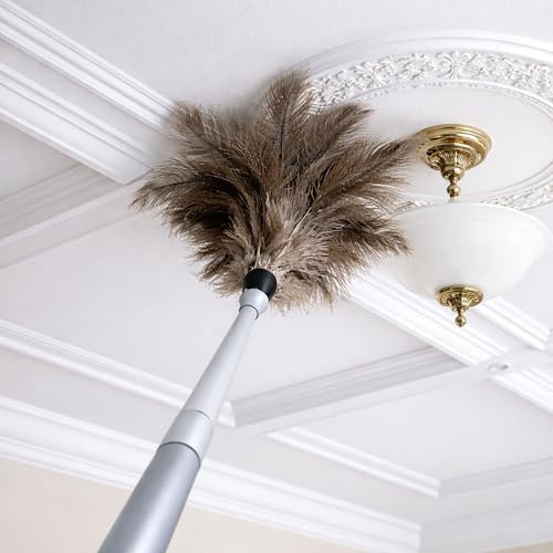 The Home Valet Company New Ostrich Feather Duster Long Reach Extendable Handle Reaches to over 2m