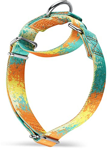 Dazzber Martingale hundhalsband färgglada oljemålningsmönster serie – inget drag husdjurshalsband silkeslen mjuk för medelstora och stora hundar (medium, 2,5 cm bred, öken och oaser)