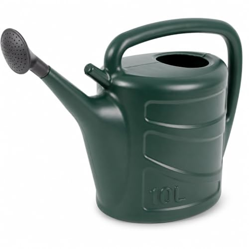 ACCURATE 10 Litre Green Watering Can with Sprinkler Rose | Green 10L watering can with sprinkler rose, ideal for light watering plants, flowers, pots and garden areas.