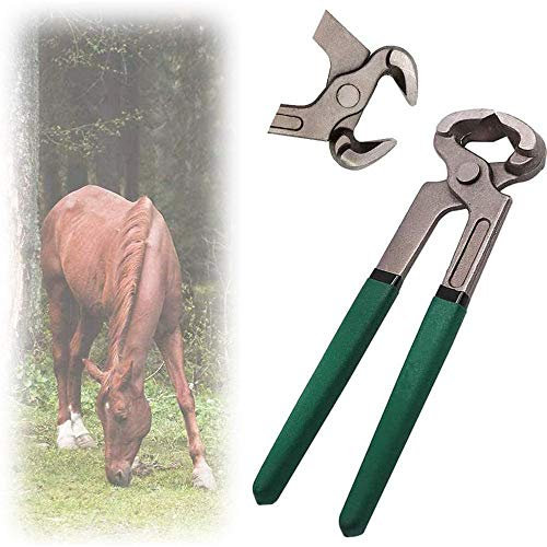 Cortador de pezuñas para herrador de caballos, tijeras de metal equinas, cortador de pezuñas para herradores, cuchillo con mango, suministros estables, alicates de herradura, herramientas de herrado