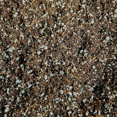 Premium Succulent & Cacti Potting Mix with Activated Biochar – Free-Draining Soil for Indoor & Outdoor Cactus & Succulent Plants (10L)