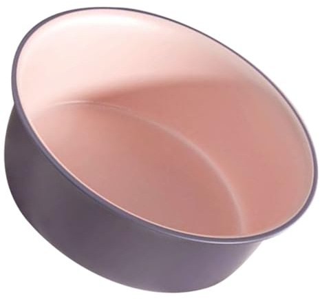 VICASKY Bassine pour Lavage du Visage en Plastique Épais, Lavabo Multi-usages Moyen Format, Bain de Pieds Pratique et Décoratif, Bac à Tremper Polyvalent Couleur Rose Violet, Accessoire