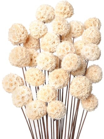 30 PCs Billy Ball Craspedia Bouquet: Natural Dried Flowers for Vase, Boho Decor & DIY Parties - White