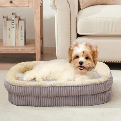 DEBANG HOME Panier pour Chien,Lit orthopédique pour Chiots et Petits Chiens, canapé pour Chien en Mousse Haute densité, Housse Amovible et Lavable et Fond antidérapant,Gris