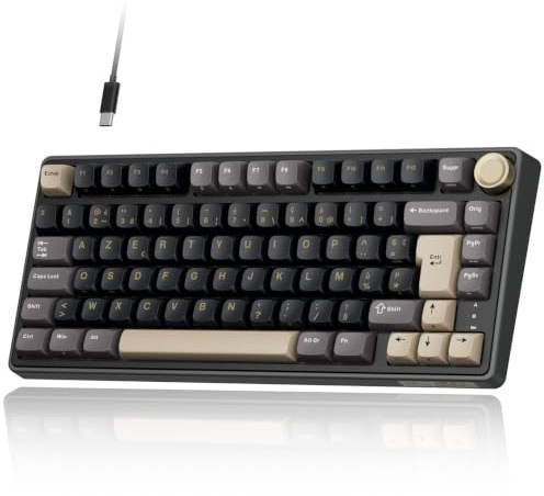 RK ROYAL KLUDGE R75 Clavier Mécanique, Clavier Gamer Filaire 75% AZERTY avec Gasket Mount, Molette de Volume, Switch Creamy Linéaire Hot-Swap, Touches PBT, Rétroéclairage RGB pour Windows/Mac/PC