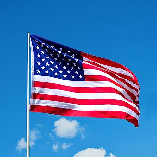 FSFLAG Amerika-Flagge, 2,4 x 3,6 m, USA-Flagge, 400D, verstärktes Polyester mit zwei Messingösen, US-Flaggen für den Außenbereich, rein handgefertigt, farbecht, USA-Flagge Nationalflaggen
