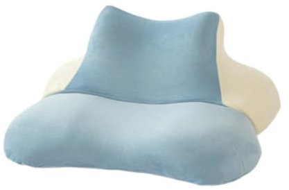 RAGOPILEN Home Office Lesekissen, Lesekissen mit zerkleinert Kissen for Bettruhe und Rückenstütze for Frauen mit multifunktionaler Verwendung im Büro, Blau(Blue)