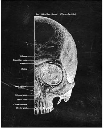 Supkancl Muscolo del Piede Osso Wall Art Cuore Anatomia Scheletro della Tela di Canapa Pittura Nordic Poster E Stampe Immagini della Stanza for Il Medico Office Decor(02,60x80cm No Frame)