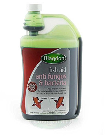 Blagdon Fast Acting Anti-Fungus & Bacteria Water Treatment for All Pond Fish, Finrot, Mouthrot, External Bacterial Infections, Wildlife & Fish Safe, 1 Litre