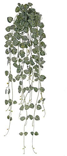 artplants.de Ceropegia Textil Kirara, en Vara de fijación, Zonas resguardadas, Verde, 70cm - Enredadera Rosario simulada/Planta Colgante