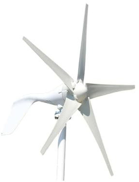 KOZWAY Turbinas de viento, Alternativa Energieerzeu 1000W Horizontal Aerogenerador Nueva Energía 12v 24v Molino de viento de baja velocidad de viento de arranque Turbinas de viento (Tamaño: Onecolor,