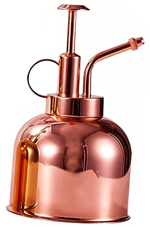 Toyvian 300ml Rose Gold Stainless Steel Plant Sprayer Watering Can Pump for Succulents and Indoor Plants Vintage Style Small Garden Spritzers
