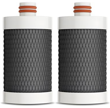 Filtre anticalcaire pour robinet, charbon actif granulaire, filtre à eau de salle de bain, pour robinet d'évier avec 2 filtres de rechange