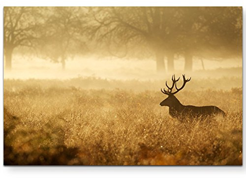Leinwandbilder | Bilder Leinwand 120x80cm Silhouette eines Hirsch im Wald