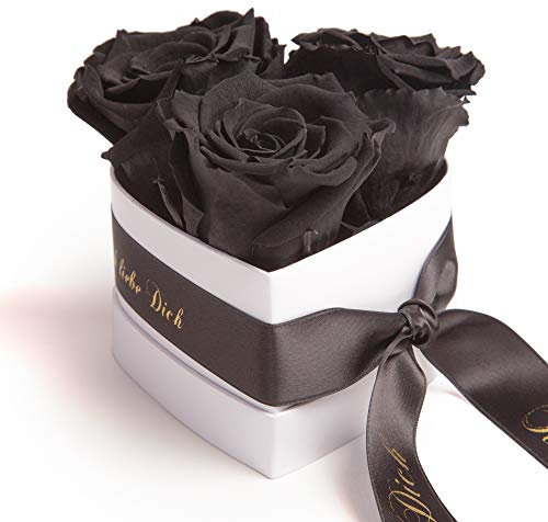 ROSEMARIE SCHULZ Heidelberg Infinity Rosen Rosenbox Herz - 10 x 12 cm 3 konservierte Schwarze Rosen haltbar 3 Jahre (Schwarz, Small)