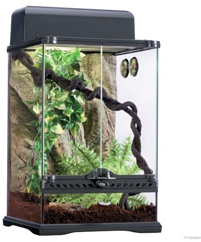 Exo Terra Rainforest Habitat Kit, Terrarien Starter Set Regenwald, inkl. Abdeckung, Thermometer, 3 künstlichen Pflanzen, Bodengrund, Wassernapf, 1 Liane, 30 x 30 x 45cm