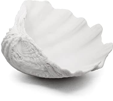 Accessoryway Große weiße Muscheln, dekorative Schale, Kunstharz, Muschelschale, Stranddekorationen für Zuhause, Küste, Strand, Dekoration, Aufbewahrungsschalen und Heimbüro, nautische