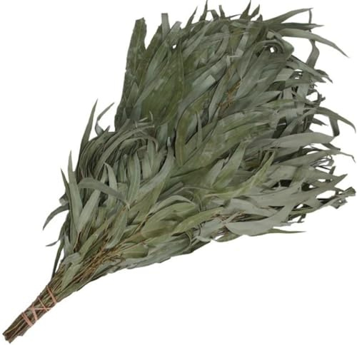 Saunabesen aus Eukalyptus – Frischer Saunaaufguss-Besen für Rituale & Wellness – Naturprodukt zur Reinigung & Entspannung – 1–2 Anwendungen (1)