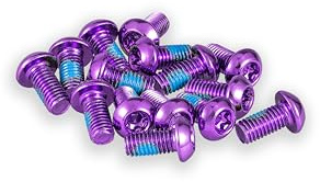 Funn Bremsscheiben Schrauben, Stahl M5 x 10mm, 15 Stück, T25 (Lila) | 0,8 mm Steigung, Torx, universell 6-Loch, sieben Farben, für MTB und Straße