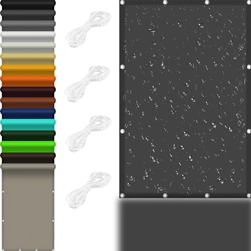 Toile Ombrage pour en Plein 3 x 6 m 98% UV Protection,Polyester, Auvent Résistante Aux Imperméable avec 4 X Cordes de 1.5M pour Pergola, Fleurs, Patio Lawn., Gris Foncé