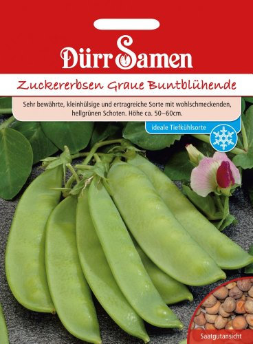 Dürr-Samen - Zuckererbsen Graue Buntblühende Saatgut
