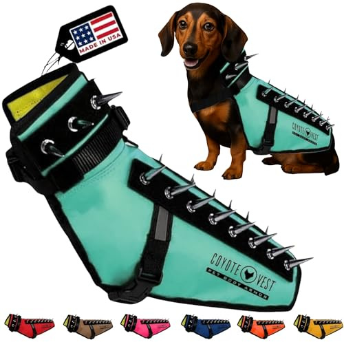 CoyoteVest Hundegeschirr Schutzweste, reflektierendes Hundezubehör mit Spikes, Schnappschnallen für schnelles Tragen und Entfernen (XS, Türkis)