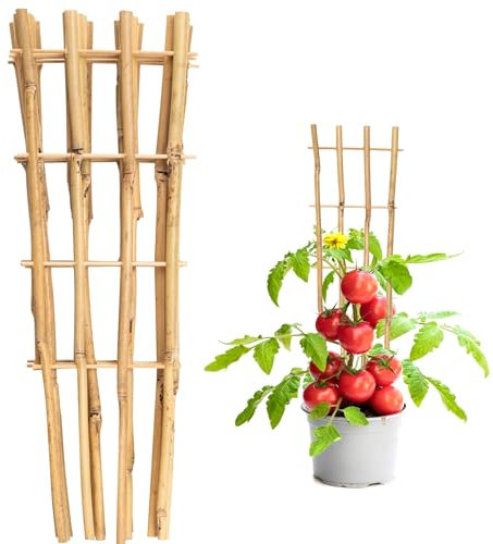 Taoskai 10 Pack 16 Bamboo Trellis for Climbing Plants, Fan-Shaped Natural Garden Ladder Trellis for Climbing Plants Potted Plants House Plants