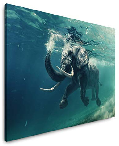 Paul Sinus Art Elefant unter Wasser 100 x 70 cm Inspirierende Fotokunst in Museums-Qualität für Ihr Zuhause als Wandbild auf Leinwand in