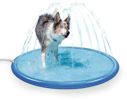 Coolpets Matte mit Sprinklern - 100 cm - Mit Sprinklern - Hundedusche - Bad - Wasser - Spielzeug - Springbrunnen - Kühlung - Pool - Hund