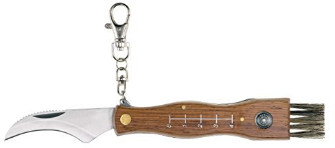 AUSONIA - Coltello coglifunghi lama inox Cm 20 manico legno con mini bussola