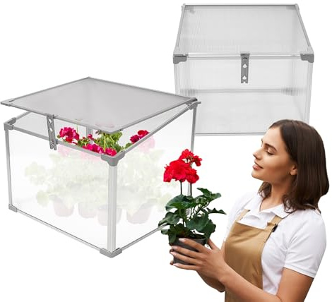 Grindi Frühbeetaufsatz - Mini Gewächshaus Magnolia I 60x51x51 cm - Gewächshaus klein Balkon - Garten Polycarbonat - Hochbeet Balkon Treibhaus - Frühbeetkasten - Laarbeek Mini