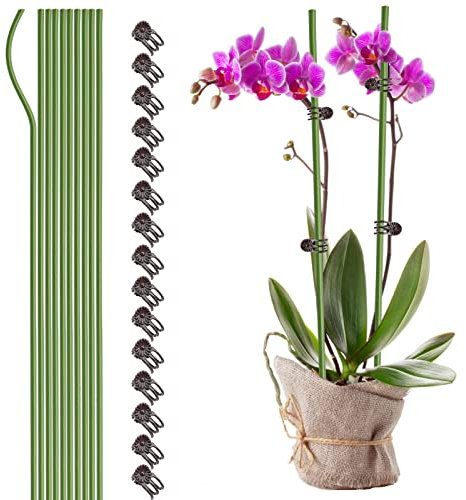 WIVAYE 10 Stück Pflanzenstützstäbe mit 15 Stück Pflanzenklammern, 61 cm hoch, einzelner Stiel, biegbar, kunststoffbeschichtet, Garten-Pflanzstäbe für Amaryllis, Orchidee, Lilie, Rose, Tomaten, Grün
