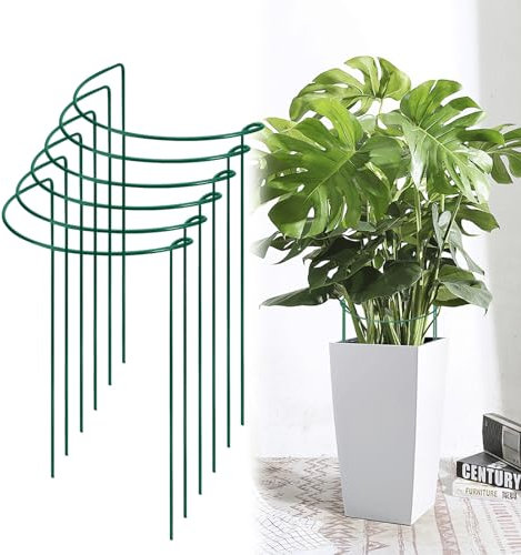 Lot de 6 supports pour plantes semi-circulaires en métal - Anneau de support pour plantes de jardin semi-circulaire - Pour légumes, fleurs, monstera, hortensia, roses