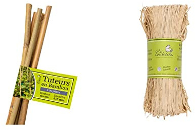 La Cordeline Lot de 20 Tuteur Bambou LTB60-20, Naturel & Raphia Teinte Naturelle, floche 50 GR, JN50