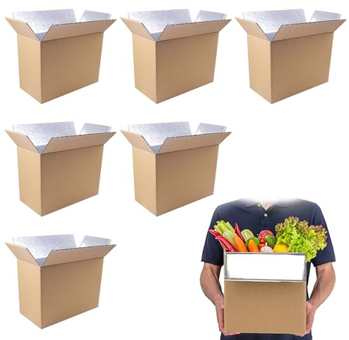 6 Pack Insulated Shipping Box for Shipping Frozen Food Cold Shipping Boxes Large Foil Cooler Carton Moving Kits for Mailing Packing (Box Size 11 x 6.1 x 7.1 Inch)