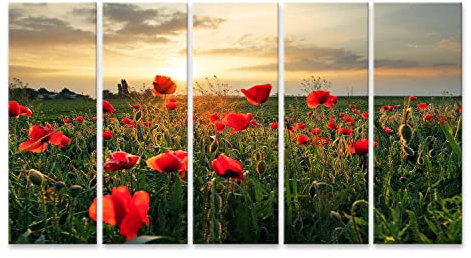 islandburner Bild auf Leinwand Mohnblumenfeld Bei Sonnenuntergang Bilder Wandbilder Poster