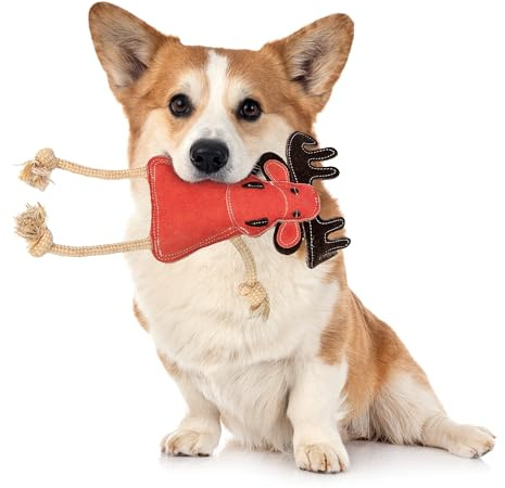 Emmi-pet Zerrspielzeug Xmas Rentier - Stressabbau für Hunde I Zahnpflege I Mit Kokosfaserfüllung I Ideal für Welpen, mittelgroß & große Hunde I 1 Stück Hundespielzeug Rentier