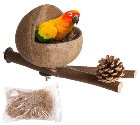 House De Noix De Coco À Oiseaux - Nid D'oiseau en Coquille De Noix De Coco Naturelle avec Branches d'arbre Et Copeaux De Noix De Coco, Cachette pour Reptiles - Décoration De Cornes De Pin